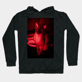 The Watcher Hoodie